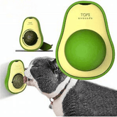 Cỏ Mèo Gắn Tường Xoay Hình Đồ Chơi Cho Mèo - Paddy Pet Shop